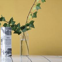 Salus Rosemary + Eucalyptus Room Spray