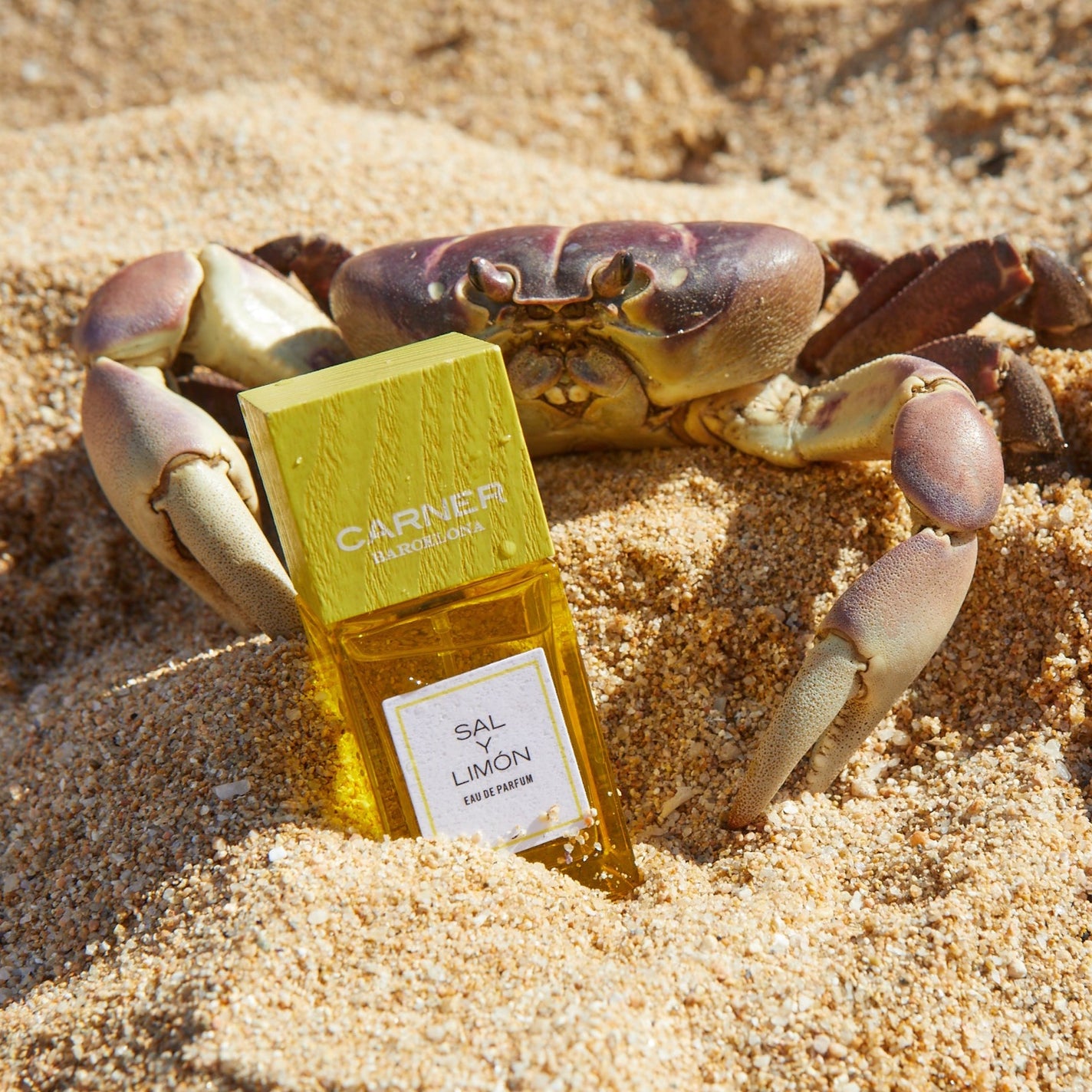 Sample Vial - CARNER BARCELONA Sal Y Limón Eau de Parfum