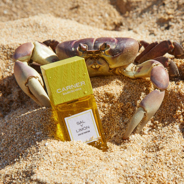 Sample Vial - CARNER BARCELONA Sal Y Limón Eau de Parfum