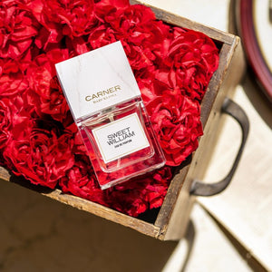 Sample Vial - CARNER BARCELONA Sweet William Eau de Parfum
