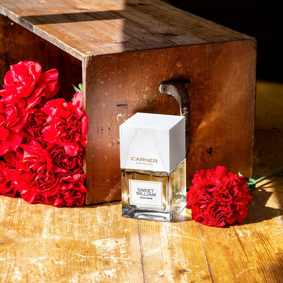 Sample Vial - CARNER BARCELONA Sweet William Eau de Parfum