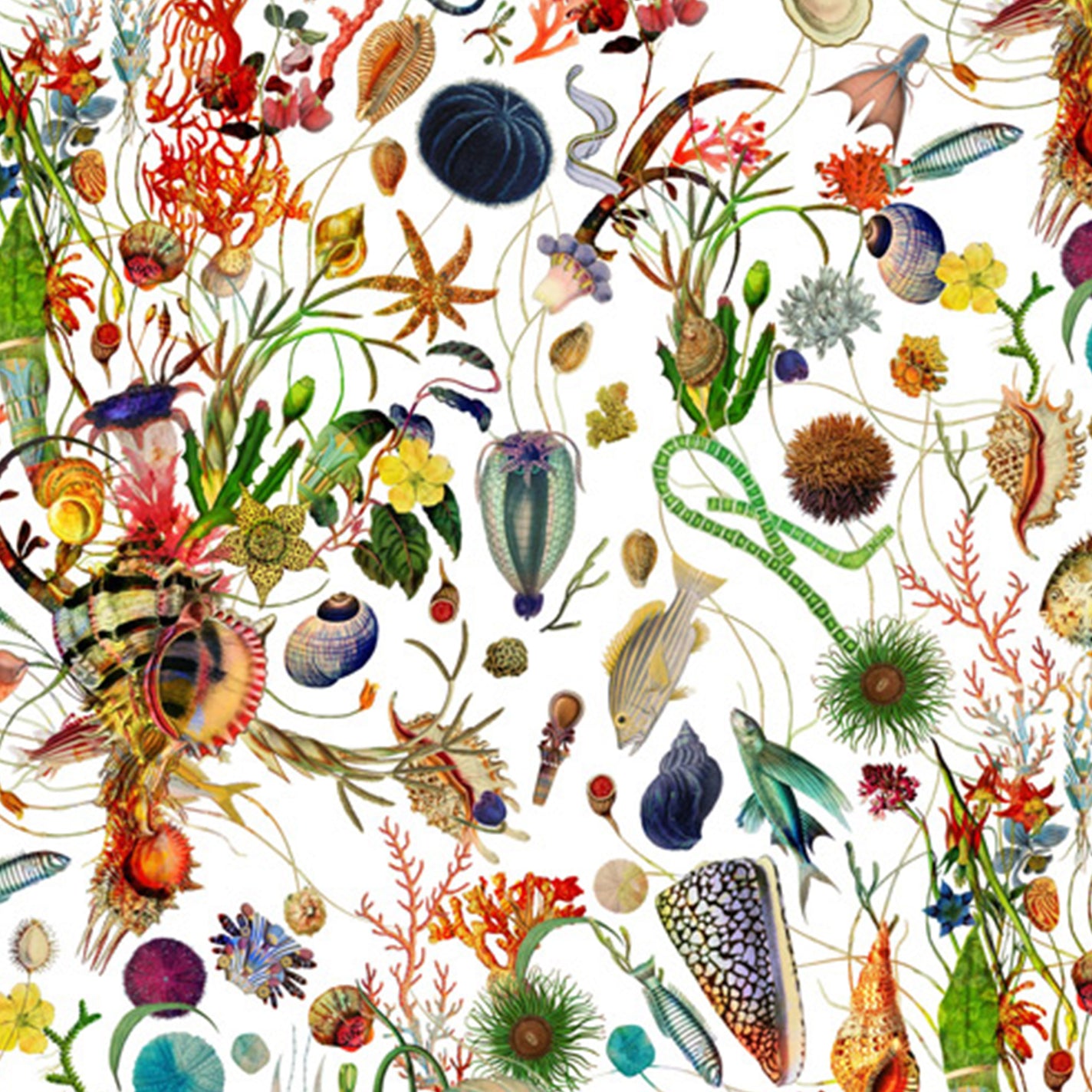 Sample Vial - CARTHUSIA A'mmare Eau de Parfum