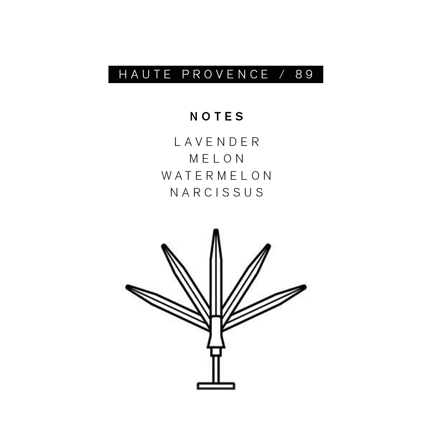 Sample Vial - Parle Moi Haute Provence / 89 Eau de Parfum