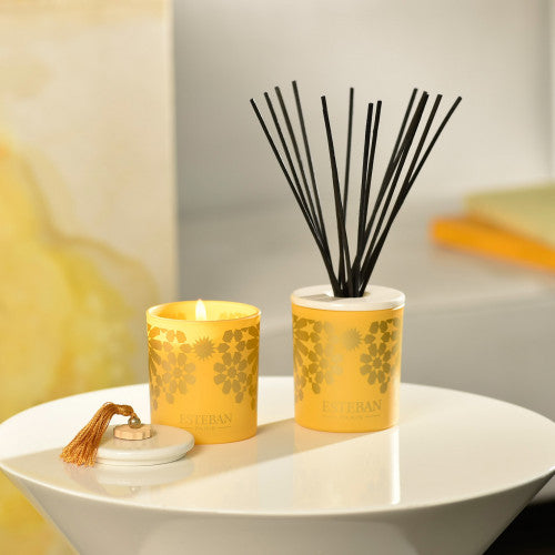 Esteban Ambre Diffuser Refill + Reeds