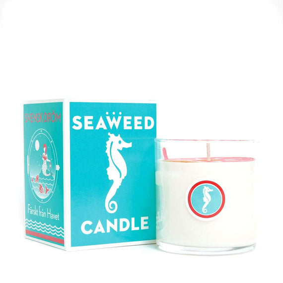 Seaweed Candle
