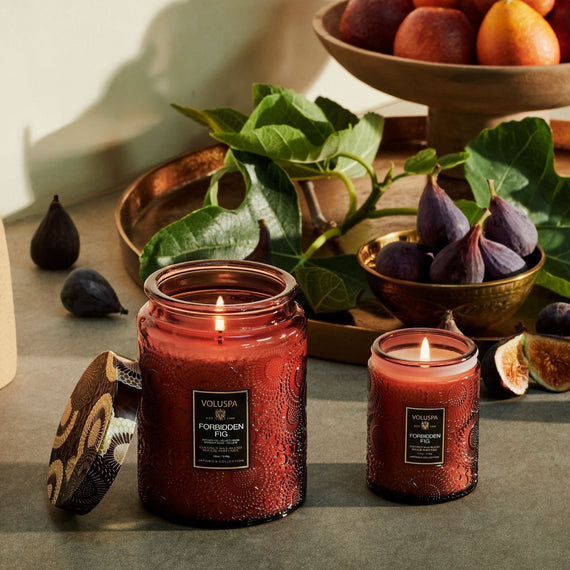 VOLUSPA Forbidden Fig 100hr Candle